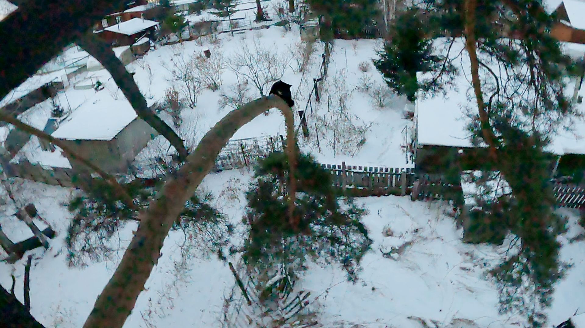 Опять Клёпа на меня матерится смотреть онлайн