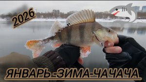 ДЖИГ⚡(ДЖИГ-РИГ)🎣СПИННИНГ РЫБАЛКА НА МОСКВЕ РЕКЕ ЯНВАРЬ ЗИМА 2026⚡