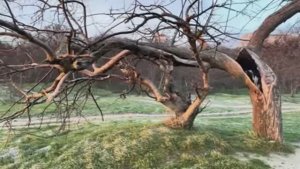 ОДЕССА 6 ЯНВАРЯ 2026. ТРАМП НЕ ВЕРИТ В АТАКУ НА ПУТИНА. АВИ