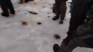 06.01.26 г. РК Волна