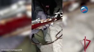 Вечеринка закончилась стрельбой по скорой: СОБР задержал вооруженного жителя Ленобласти