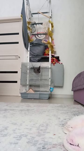 1000020002.mp4 смотреть онлайн