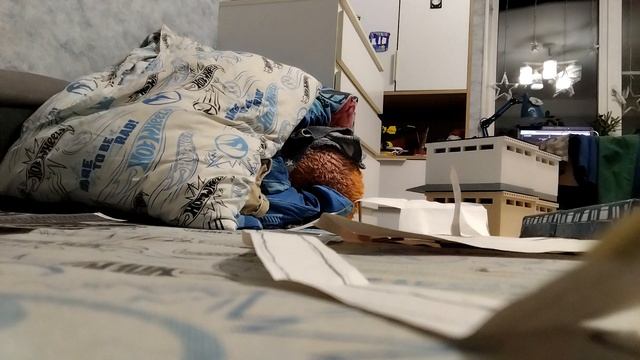 Перегонка поезда 81-718