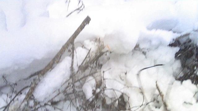 Пилатлон 4 января 1й огневой рубеж 2я попытка смотреть онлайн