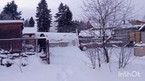 ЖИВЁМ У ДОЧЕРИ В ДЕРЕВНЕ.ЗИМА.ЯНВАРЬ.