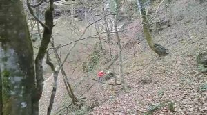 22.11.2025 Ущелье реки ФАРС