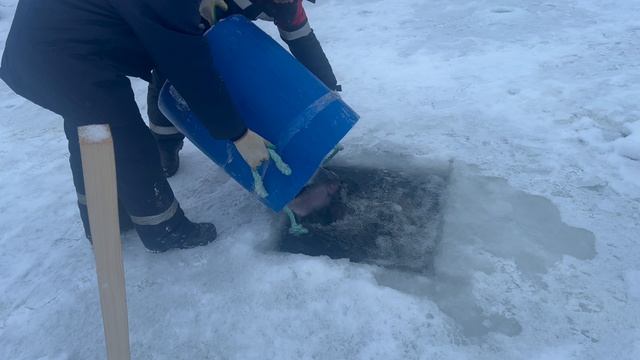 copy_143AF2D4-85DA-45F3-87B4-170106E57ED4 смотреть онлайн