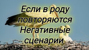 Если дети повторяют судьбу родителей !