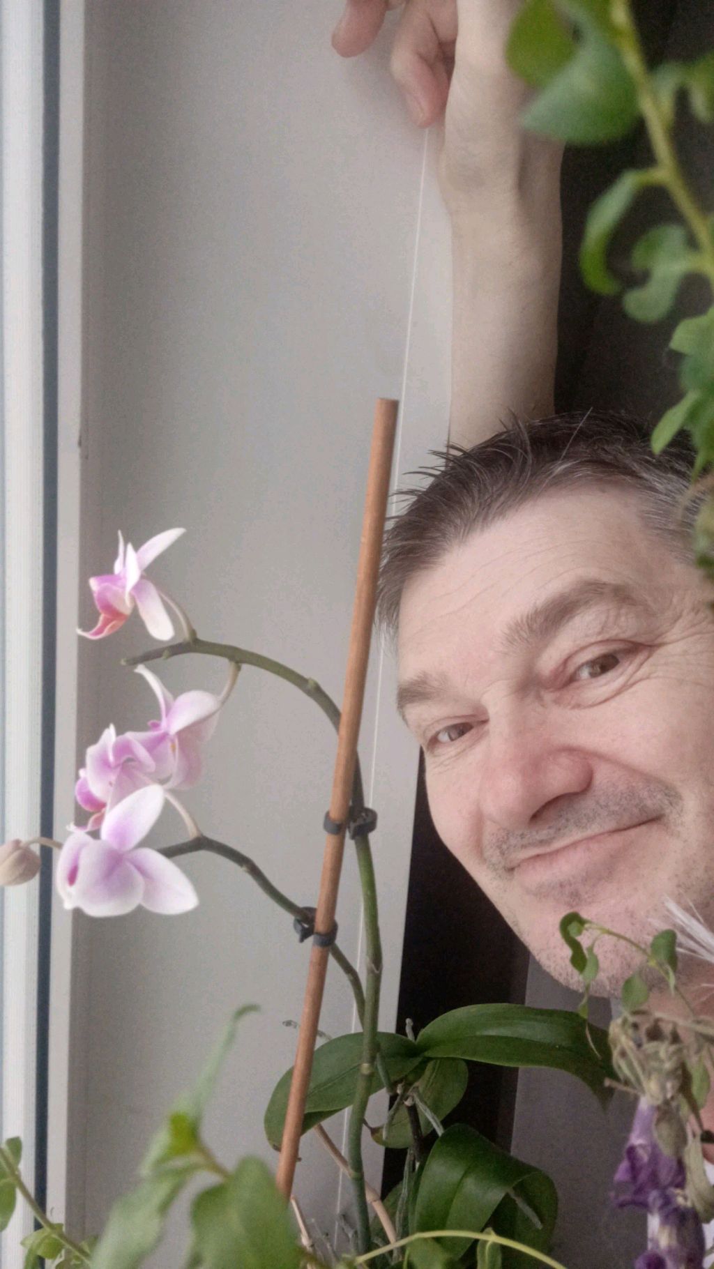 МУКБАНГ говорил красиво смотреть онлайн