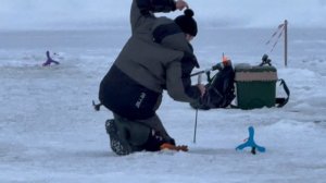 Поимки форели !!!