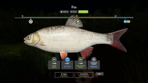 Русская Рыбалка 4-Новогодние Задания 2026: Язь не менее 800 грамм,используя спиннинг оз. Комариное