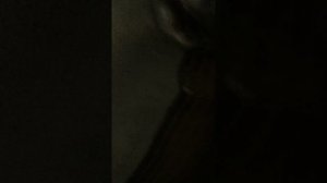 что это за место