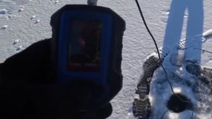 РЫБАЛКА НА ОКУНЯ пошла не ПО ПЛАНУ/ НАШЛИ СТАЮ СУДАКОВ и отловились БЕЗ ТОЛПЫ