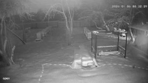 Куница на пасеке. С 1:00 минуты