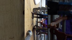 соревнования Полины