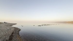 Байкал в посёлке Клюевка