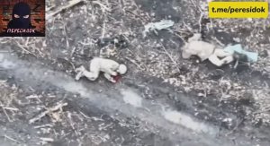 Слаженная работа дроноводов и штурмовика ВС РФ