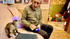 Финя помогает папе чинить все погрызенные провода)