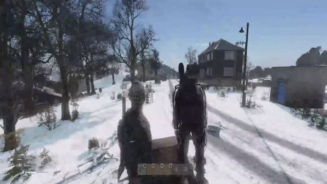 DAYZ Бегаем по зимней чернорусии