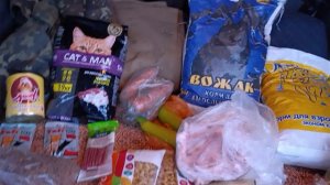 Мы приехалиЕда для хвостиков