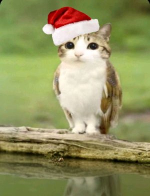 Убираемся после видео