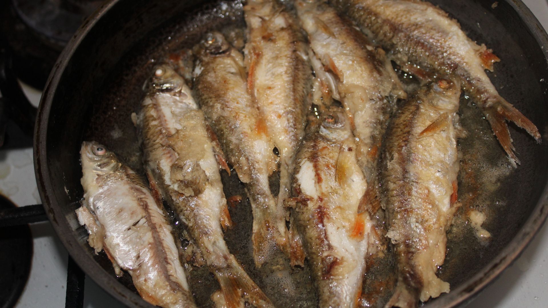 Мой завтрак-плотва жареная. смотреть онлайн