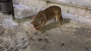 Центр Владимира. Гуляем / Архив от 16.01.2022