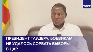 Президент Таудера: боевикам не удалось сорвать выборы в ЦАР