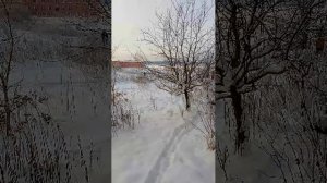 Зимушка зима ❄️