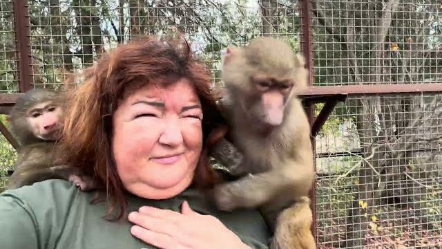 Степу унесли чтобы дать свободу Анфисе, Маня захотела уйти за другом, а Финик пришел в вольер))) смотреть онлайн