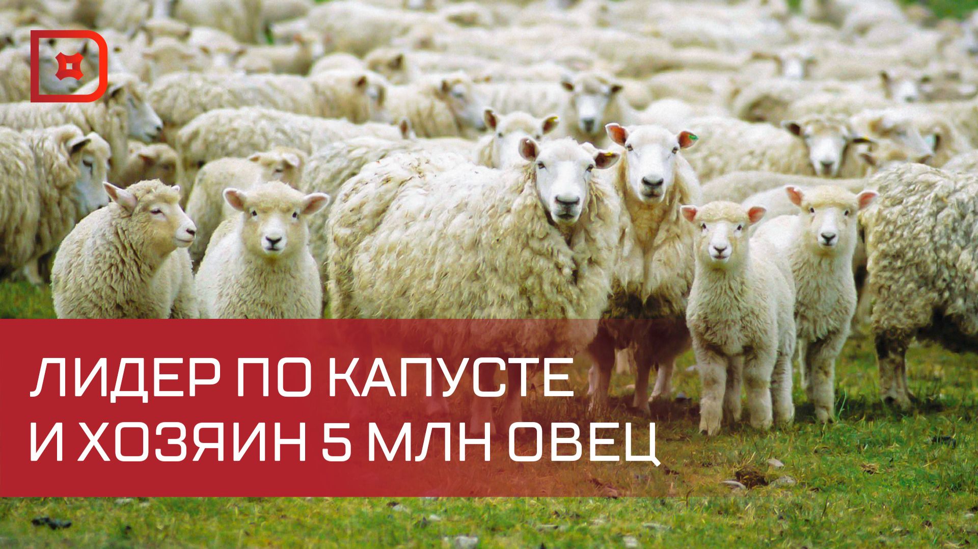 АПК Дагестана - фундамент экономики республики смотреть онлайн