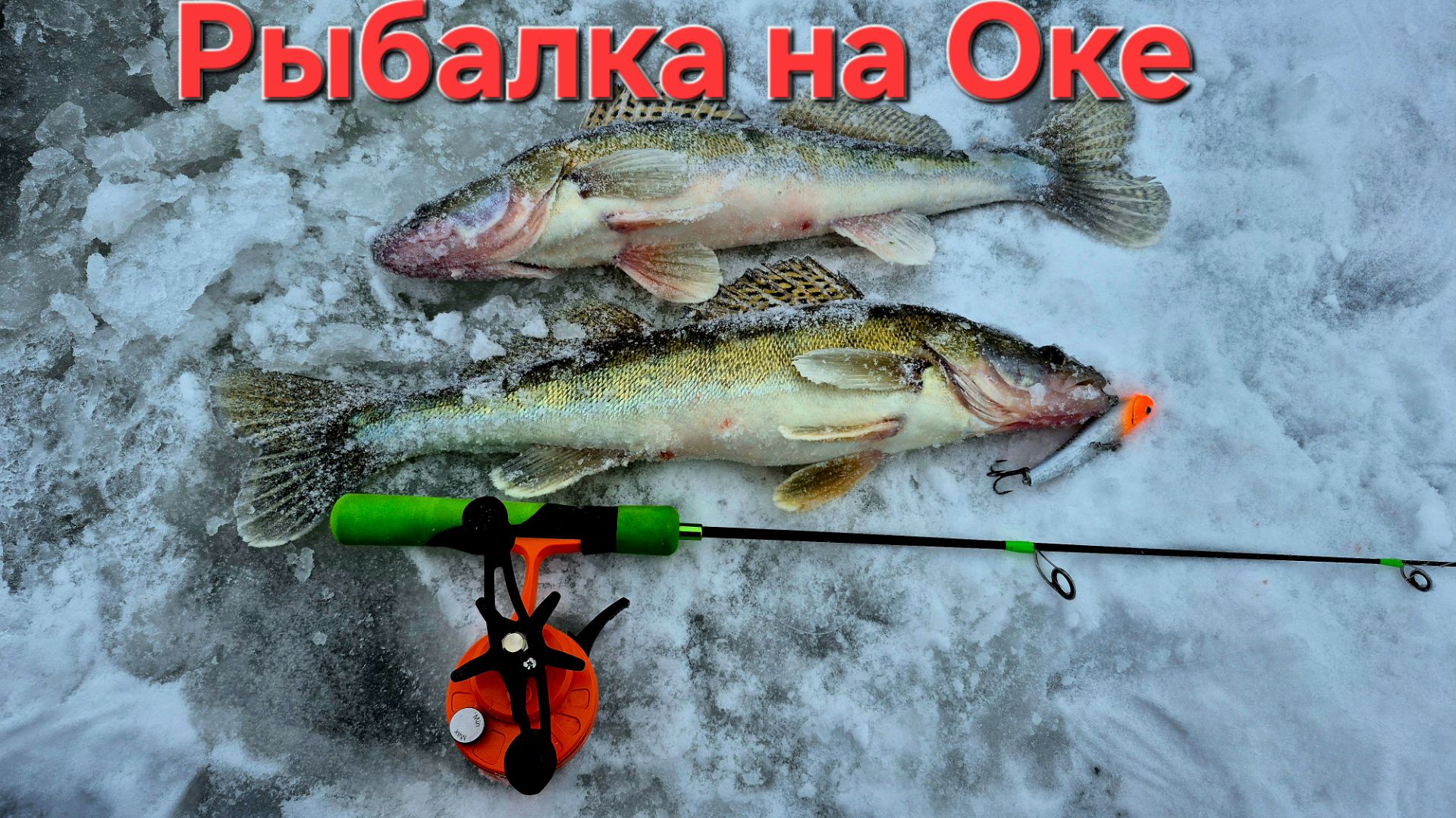 Нашли судака! Только опустил VIB и сразу удар, рыбалка на Оке 2026. смотреть онлайн