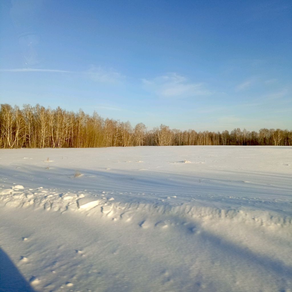 ❤️❤️ася смотреть онлайн