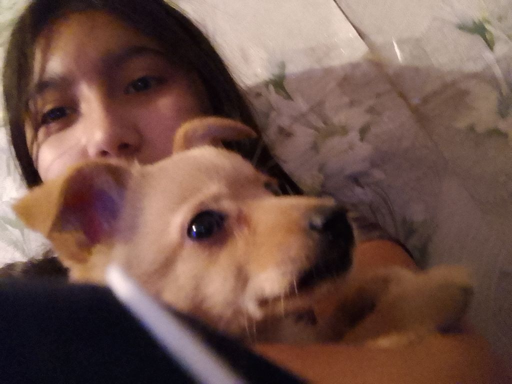 играю с 🐕 часть2 смотреть онлайн