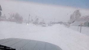 съездили за семечками