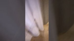 пряничный домик