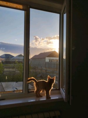 смываю макияж) ухаживаю за собой🥴