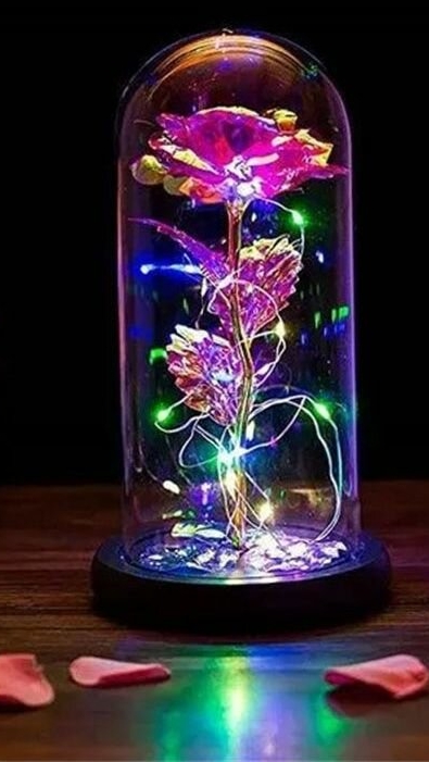 роза в колбе красота