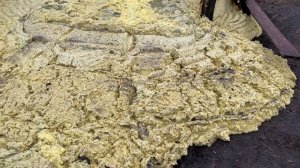 Новый корм для быков