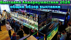 Выставка аквариумистики 2026 открыта! Красивые аквариумы, рыбки и не только!