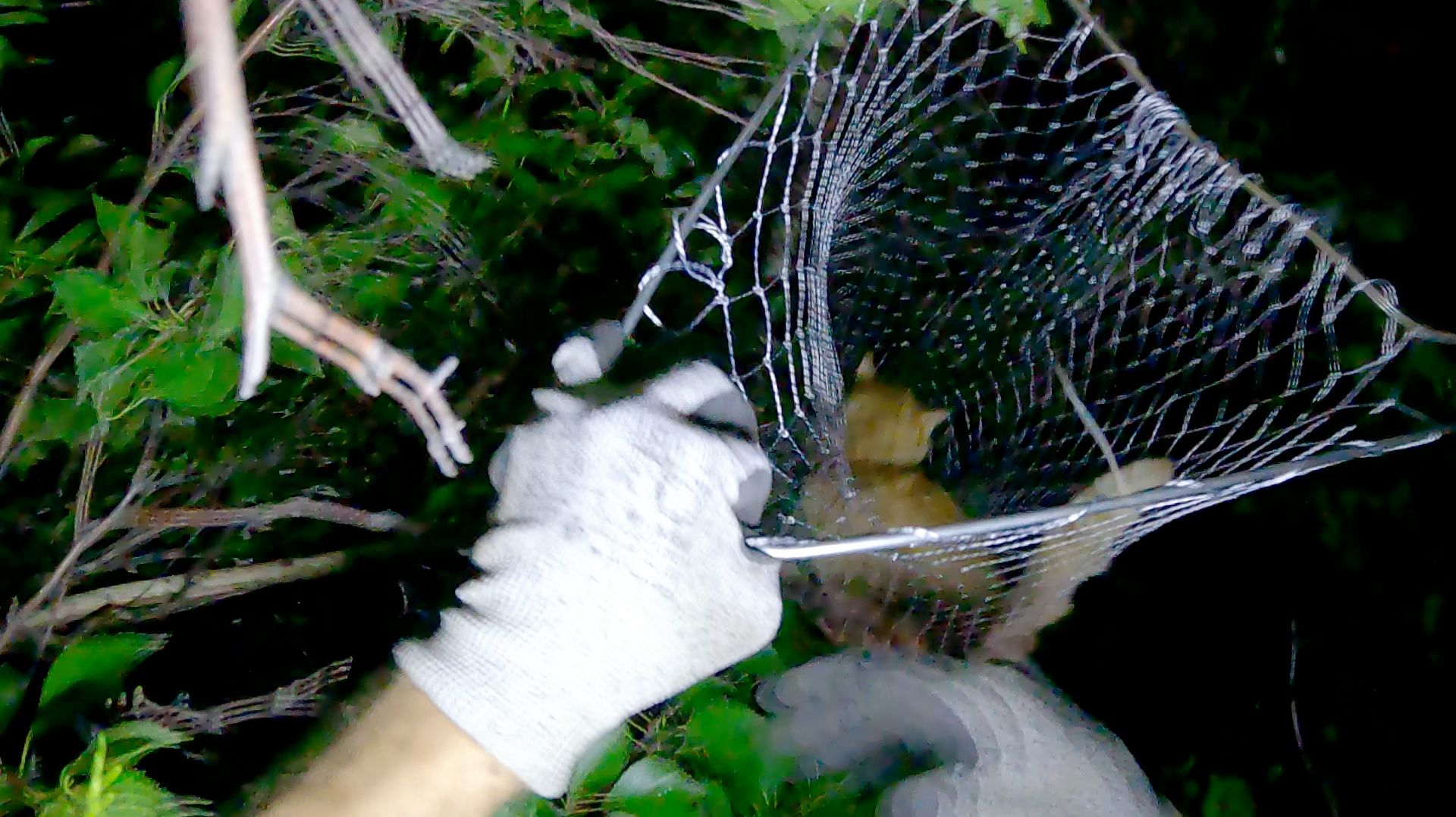 "Нарыбачил" смотреть онлайн