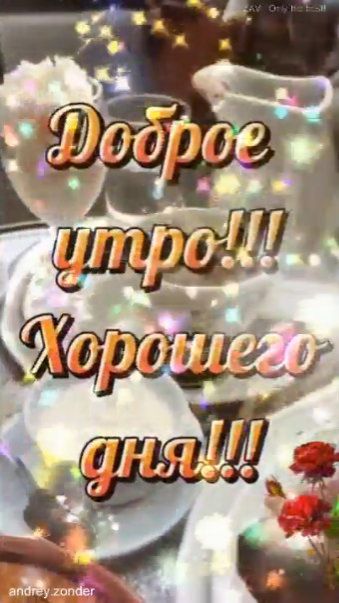 Доброе утро!) Яркого дня!) #доброеутро смотреть онлайн