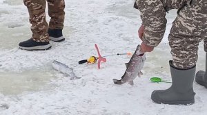 VID_20260106_112718_692