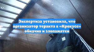 Исполнителя теракта в «Крокусе» признали злопамятным и обидчивым