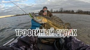 ЗДОРОВЕННЫЕ СУДАКИ гнут наши спиннинги в дугу! Читерская приманка на СУДАКА!