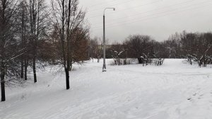 Песня в зимнем парке."На белом покрывале января"🥳🎉