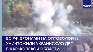 ВС РФ дронами на оптоволокне уничтожили украинскую ДРГ в Харьковской области