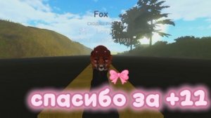 сябки за 11 лисяток