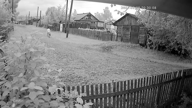 1_01_R_210805195903.avi смотреть онлайн