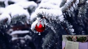 7 Строгих запретов на Рождество.